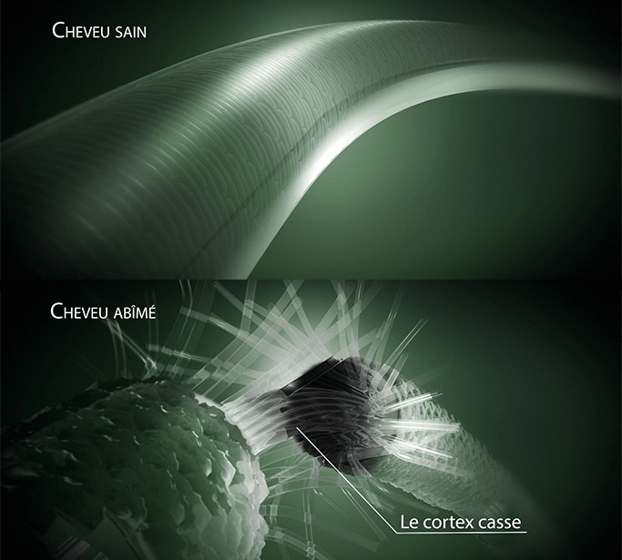 Comprendre le cheveu abîmé Comprendre le cheveu abîmé