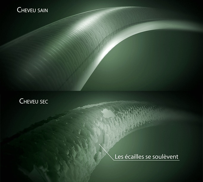 Comprendre le cheveu sec Comprendre le cheveu sec