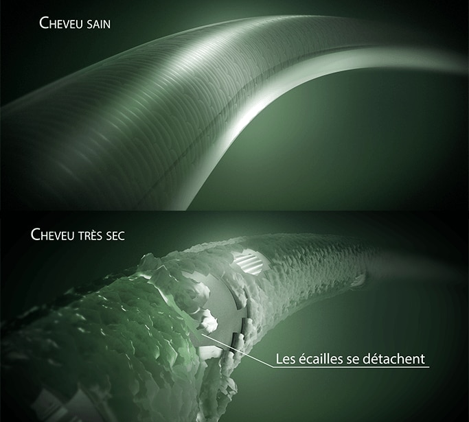 Comprendre le cheveu très sec Comprendre le cheveu très sec