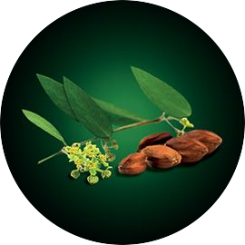 Extracto de jojoba Extracto de jojoba
